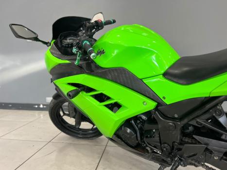 KAWASAKI Ninja 300 , Foto 2