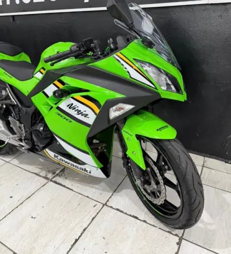 KAWASAKI Ninja 300 ABS, Foto 10