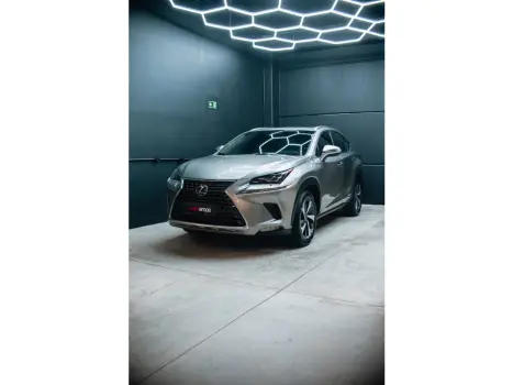 LEXUS NX 300 2.0 16V 4P LUXURY AWD AUTOM�TICO, Foto 1