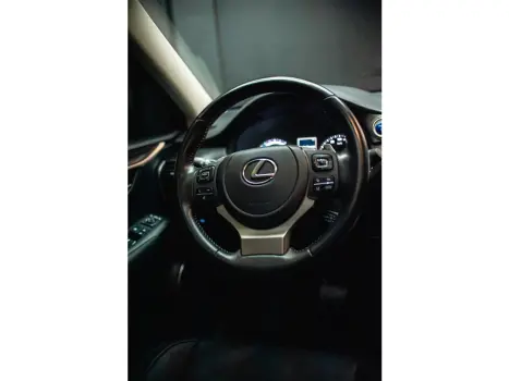 LEXUS NX 300 2.0 16V 4P LUXURY AWD AUTOM�TICO, Foto 10