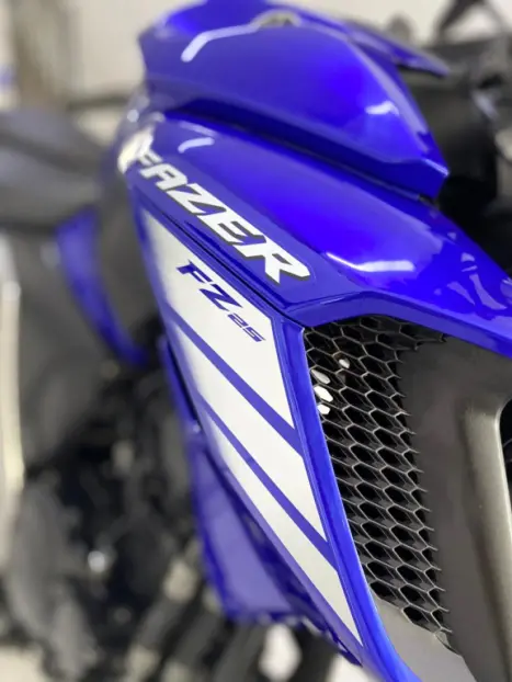 YAMAHA FZ 25 250 Fazer Flex , Foto 7