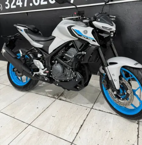 YAMAHA MT-03 300 ABS, Foto 10