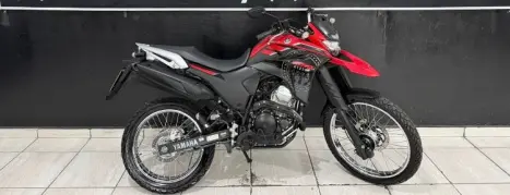 YAMAHA XTZ 250 LANDER, Foto 3