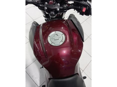 YAMAHA YS Fazer 250 BLUE FLEX, Foto 5