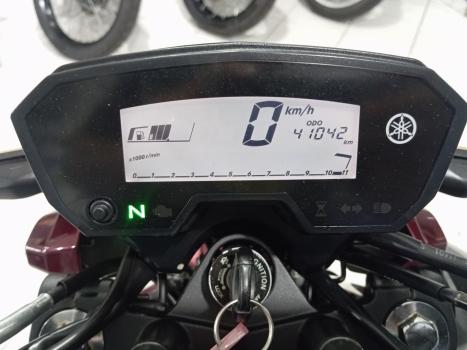 YAMAHA YS Fazer 250 BLUE FLEX, Foto 6