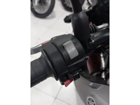 YAMAHA YS Fazer 250 BLUE FLEX, Foto 9
