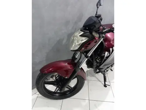 YAMAHA YS Fazer 250 BLUE FLEX, Foto 11