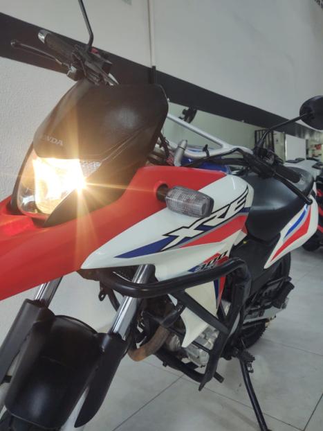 HONDA XRE 300 RALLY ABS, Foto 2