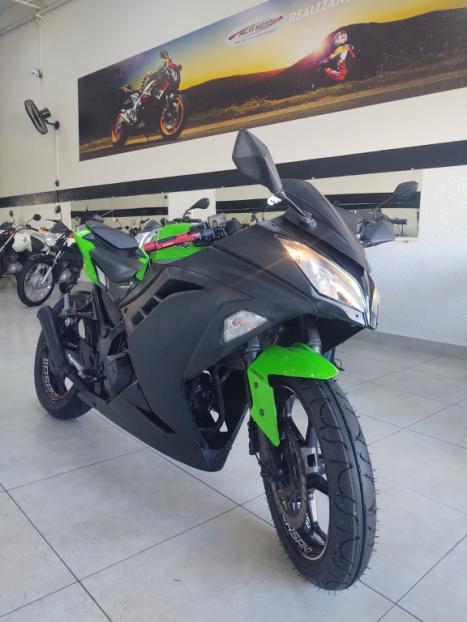 KAWASAKI Ninja 300 ABS, Foto 1