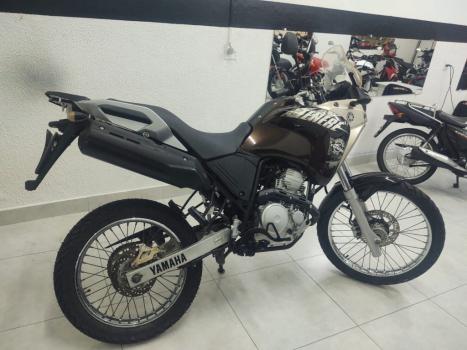 YAMAHA Tener 250 XTZ, Foto 2