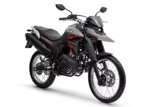 YAMAHA XTZ 250 LANDER, Foto 3