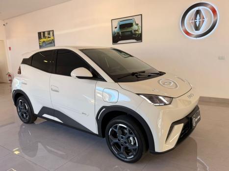 BYD Dolphin Mini 38 KW EL�TRICO GS, Foto 3