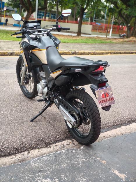 HONDA XRE 300 ADVENTURE, Foto 4