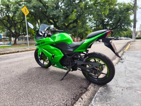 KAWASAKI Ninja 250 R, Foto 2