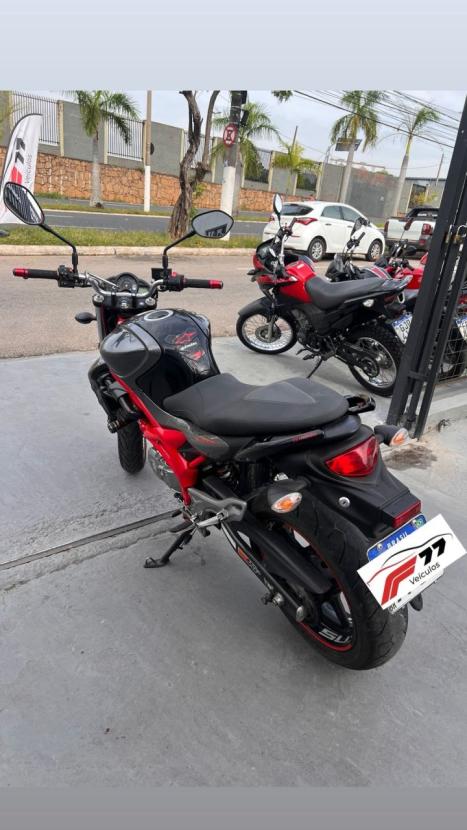 SUZUKI Gladius 650 , Foto 4