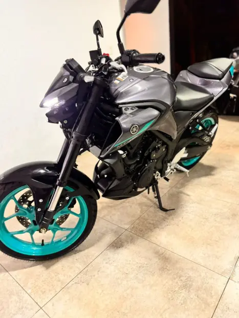 YAMAHA MT-03 300 ABS, Foto 1