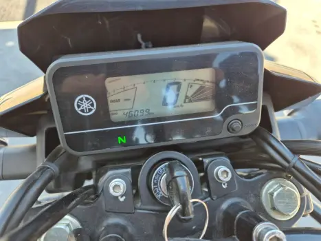 YAMAHA YBR 150 FACTOR ED FLEX, Foto 6