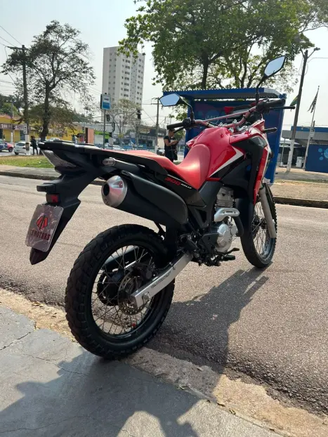 HONDA XRE 300 RALLY ABS, Foto 2