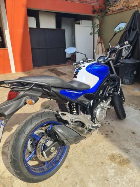 SUZUKI Gladius 650 , Foto 3