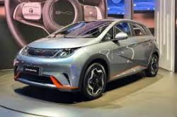 BYD Dolphin 44,9 KW ELTRICO