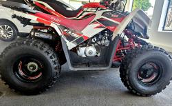 FUN MOTORS Shark 125 