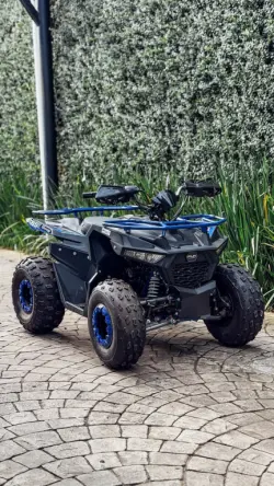 FUN MOTORS Shark 125 