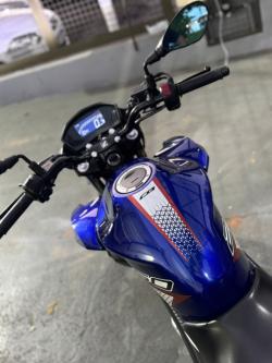 HONDA CB 250 F Twister FLEXONE