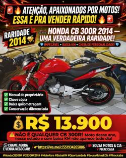 HONDA CB 300 R FLEX