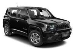 JEEP Renegade 1.3 16V 4P FLEX T270 SPORT TURBO AUTOMTICO