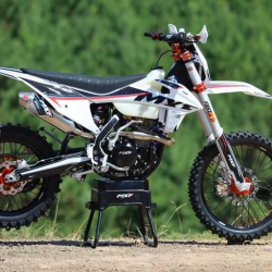 MXF 300 RXS 