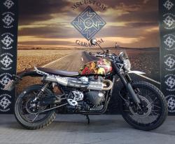 TRIUMPH Scrambler 1200 XE