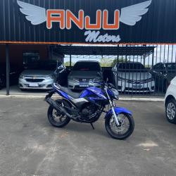 YAMAHA YS Fazer 250 BLUE FLEX