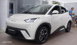 BYD Dolphin Mini 38 KW ELTRICO