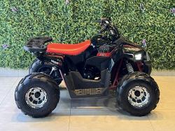 FUN MOTORS Taurus 110 