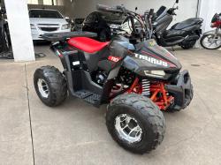 FUN MOTORS Taurus 110 