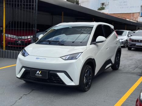 BYD Dolphin 44,9 KW EL�TRICO, Foto 2