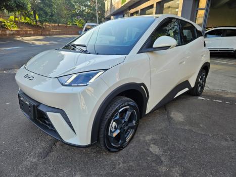 BYD Dolphin Mini 38 KW ELTRICO, Foto 5