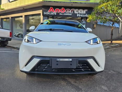 BYD Dolphin Mini 38 KW ELTRICO, Foto 3