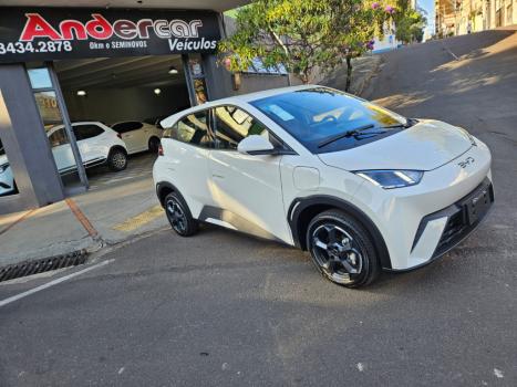 BYD Dolphin Mini 38 KW ELTRICO, Foto 2