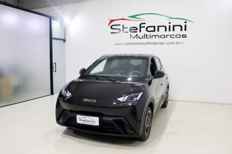 BYD Dolphin Mini 38 KW ELTRICO, Foto 1