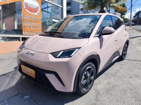 BYD Dolphin Mini 38 KW EL�TRICO, Foto 1