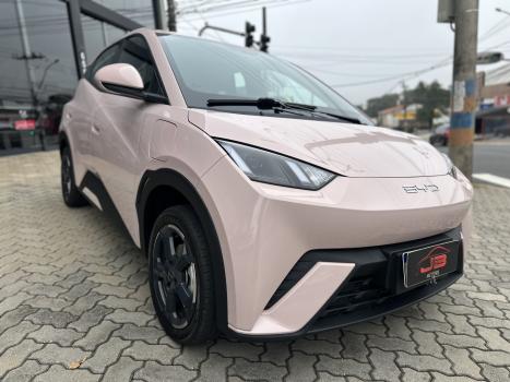 BYD Dolphin Mini 38 KW EL�TRICO, Foto 2