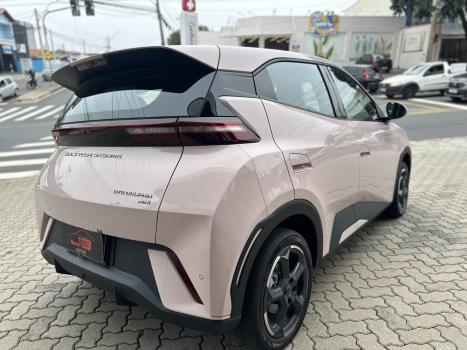 BYD Dolphin Mini 38 KW EL�TRICO, Foto 6