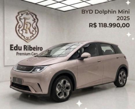 BYD Dolphin Mini 38 KW EL�TRICO GS, Foto 1
