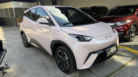 BYD Dolphin Mini 38 KW EL�TRICO GS, Foto 2