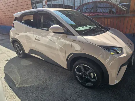 BYD Dolphin Mini 38 KW EL�TRICO GS, Foto 1
