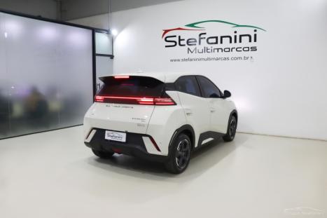BYD Dolphin Mini 38 KW EL�TRICO, Foto 11