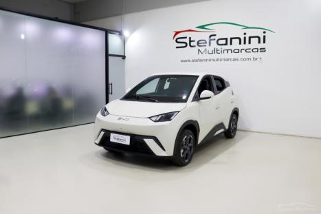 BYD Dolphin Mini 38 KW EL�TRICO GS, Foto 1