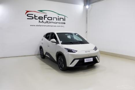 BYD Dolphin Mini 38 KW EL�TRICO GS, Foto 2