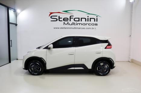 BYD Dolphin Mini 38 KW EL�TRICO GS, Foto 10